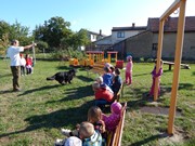 Sorbon - pes fotbalista